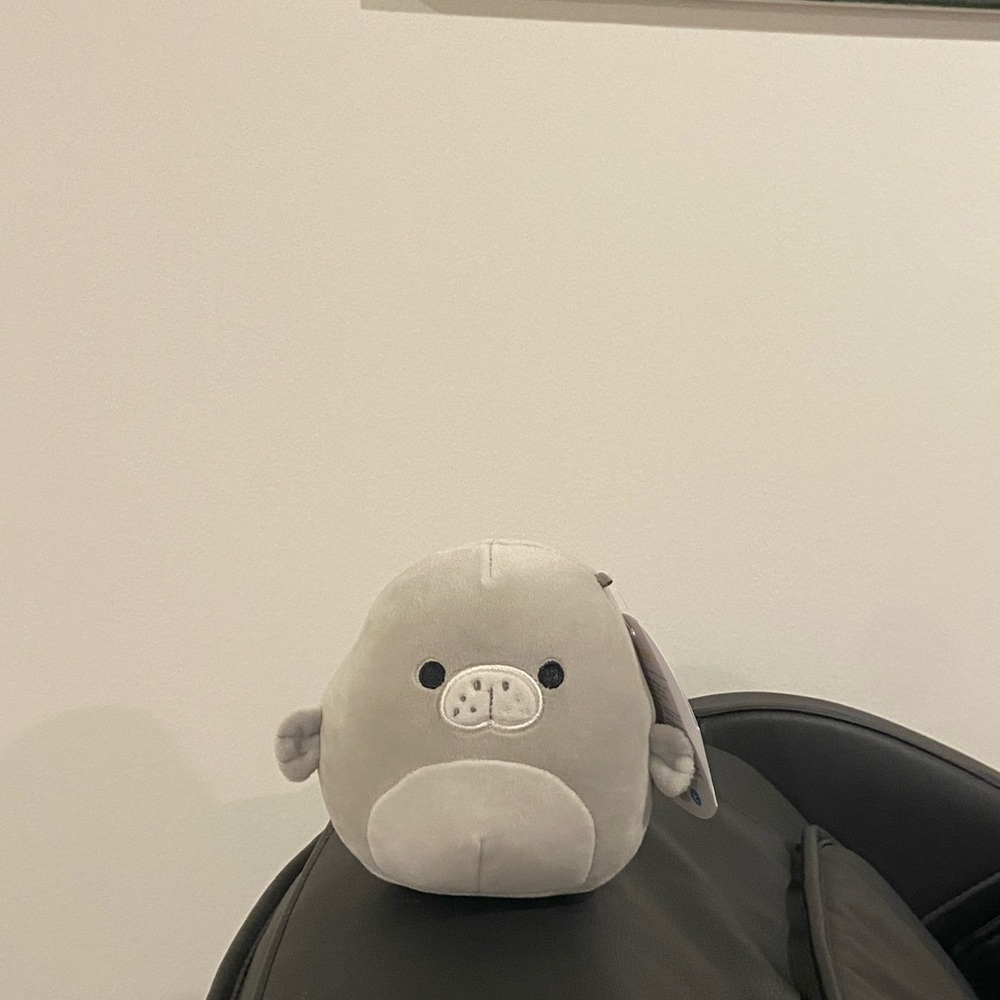 5” Matt the Manatee Squishmallow Brand New With Tags USA Exclusive